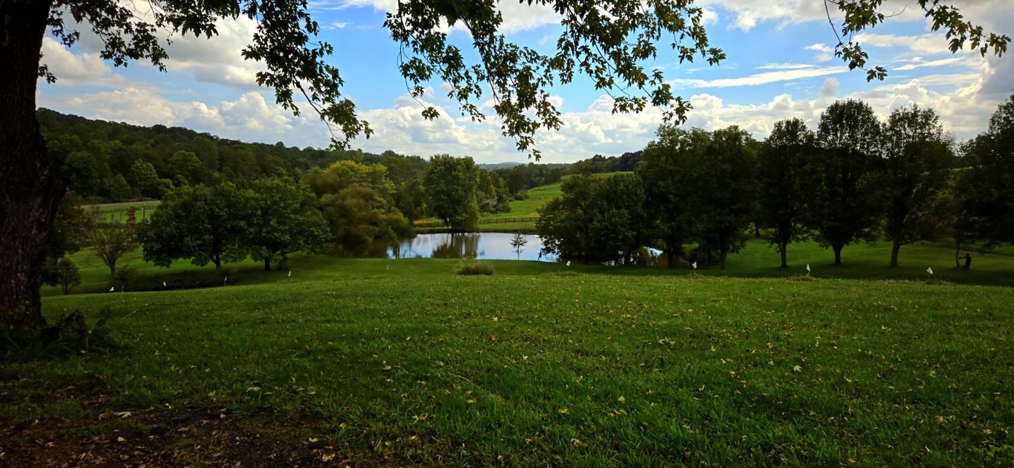 West Park Gardens Hotell Culpeper Rom bilde